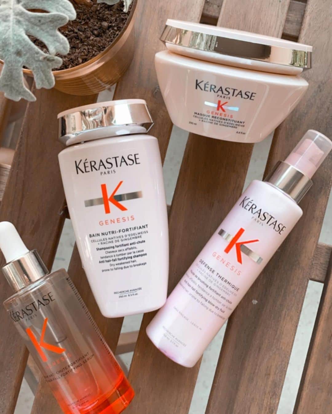 Aashna Shroffさんのインスタグラム写真 - (Aashna ShroffInstagram)「There’s a new @kerastase_official range on the block and it’s here to solve all our hairfall woes 🤍 The new Genesis range is a routine you’ll fall in love with if hairfall is a big hair concern for you. I’ve used it for a few weeks, and happy to report that I love it just as much as I love every range they do ✨  #NeverFall #KerastaseClub #KerastaseIndia」2月14日 0時42分 - aashnashroff
