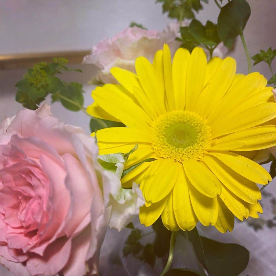 牛窪万里子さんのインスタグラム写真 - (牛窪万里子Instagram)「久しぶりの緊急地震速報で驚きました。　　  かなり揺れましたね…皆さん大丈夫でしたか？  どんな時にも冷静になれるようにしたいですね  まだ余震が心配なので、気をつけましょう  #花 #flowers  #frowerstagram」2月14日 0時58分 - mariko_ushikubo