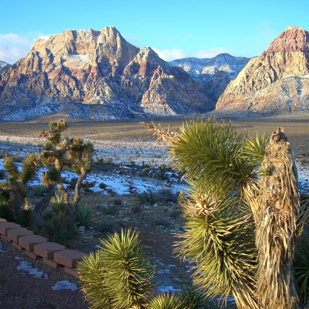 アメリカ内務省さんのインスタグラム写真 - (アメリカ内務省Instagram)「Located just outside of Las Vegas, #Nevada, Red Rock Canyon National Conservation Area offers 195,000+ acres to those looking for a different kind of adventure. With a 13-mile scenic drive, more than 30 miles of #hiking trails and hundreds of #climbing routes, Red Rock is considered one of the finest rock climbing areas in the world. Photo by Bureau of Land Management (@mypubliclands).」2月14日 1時10分 - usinterior