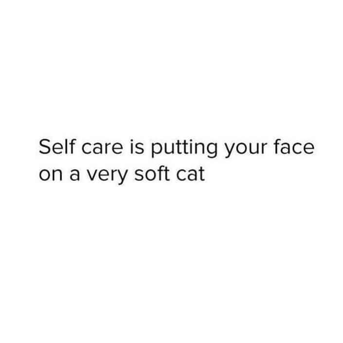 The Cats Of Instagramのインスタグラム：「🖤 (Credit: Unknown)」