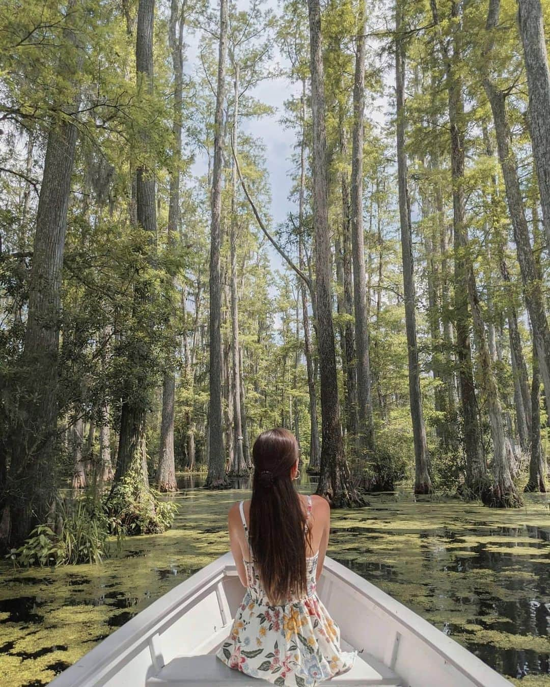 Visit The USAさんのインスタグラム写真 - (Visit The USAInstagram)「Do you recognize this romantic destination? 💕 Cypress Gardens in South Carolina was the backdrop to the famous boat scene in The Notebook! #FunFact: swans are not native to the area in South Carolina, so filmmakers had to add the swans to the scene. Cypress Gardens has been hosting visitors from around the world since 1932 and today is open seven days a week for visitors to go on their own beautiful boat ride. 🚣 #VisitTheUSA 📸 : @_calan._」2月14日 2時00分 - visittheusa