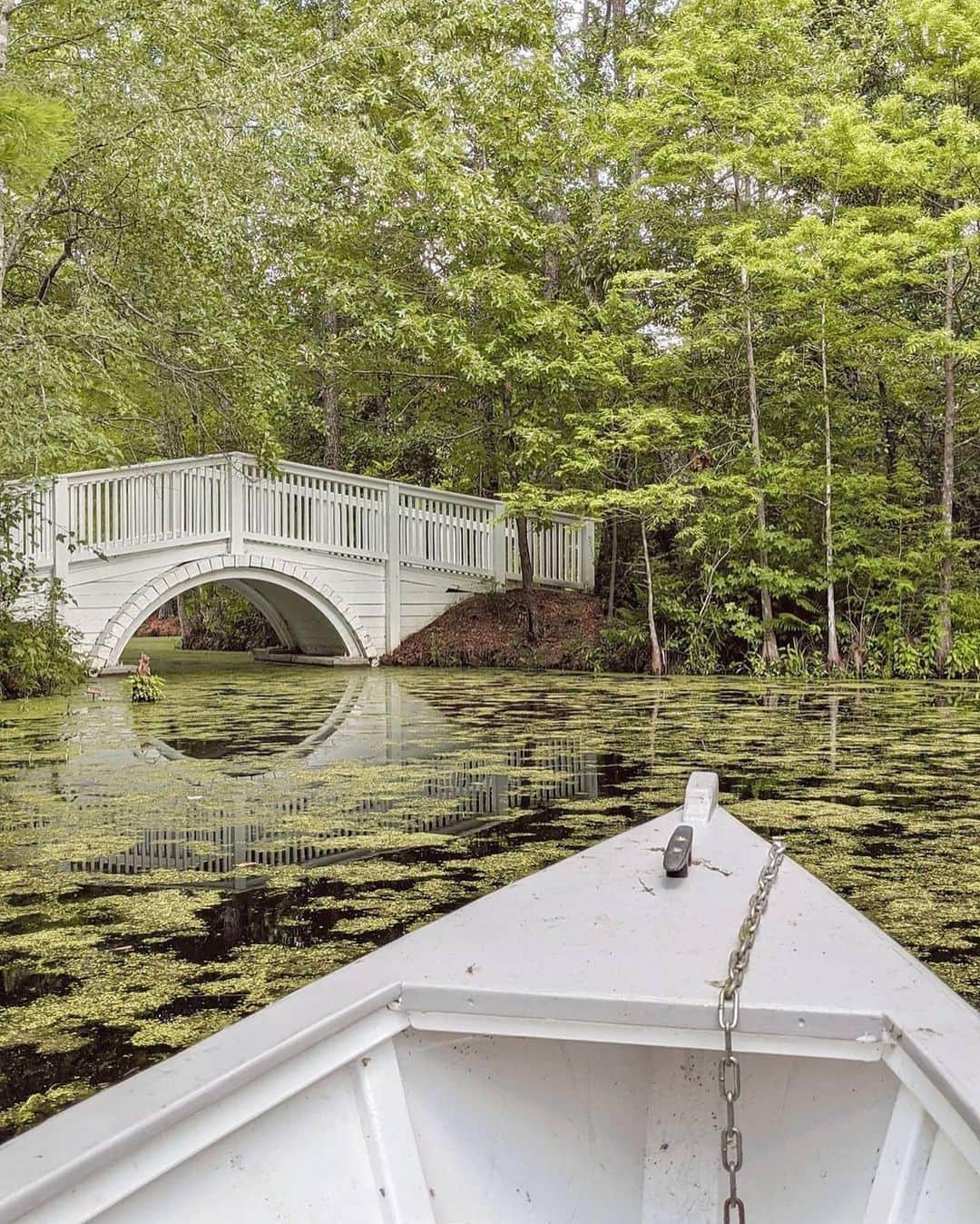 Visit The USAさんのインスタグラム写真 - (Visit The USAInstagram)「Do you recognize this romantic destination? 💕 Cypress Gardens in South Carolina was the backdrop to the famous boat scene in The Notebook! #FunFact: swans are not native to the area in South Carolina, so filmmakers had to add the swans to the scene. Cypress Gardens has been hosting visitors from around the world since 1932 and today is open seven days a week for visitors to go on their own beautiful boat ride. 🚣 #VisitTheUSA 📸 : @_calan._」2月14日 2時00分 - visittheusa