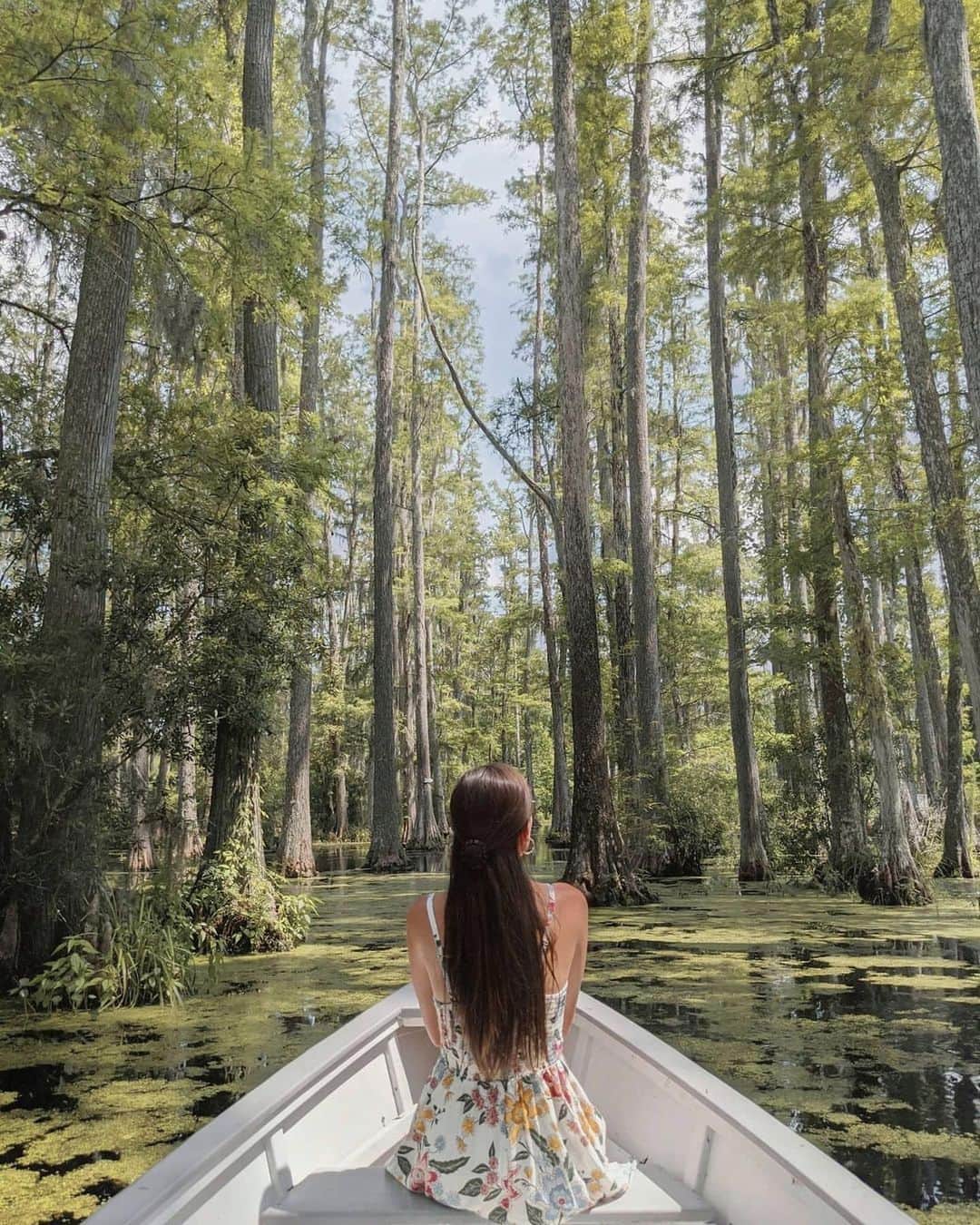 Visit The USAのインスタグラム：「Do you recognize this romantic destination? 💕 Cypress Gardens in South Carolina was the backdrop to the famous boat scene in The Notebook! #FunFact: swans are not native to the area in South Carolina, so filmmakers had to add the swans to the scene. Cypress Gardens has been hosting visitors from around the world since 1932 and today is open seven days a week for visitors to go on their own beautiful boat ride. 🚣 #VisitTheUSA 📸 : @_calan._」