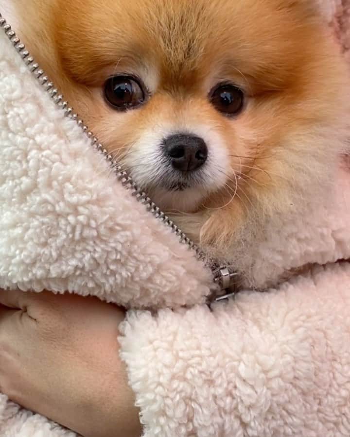 Shilaのインスタグラム：「Its too cold outside , mommy keeps me warm 🤗❤️」