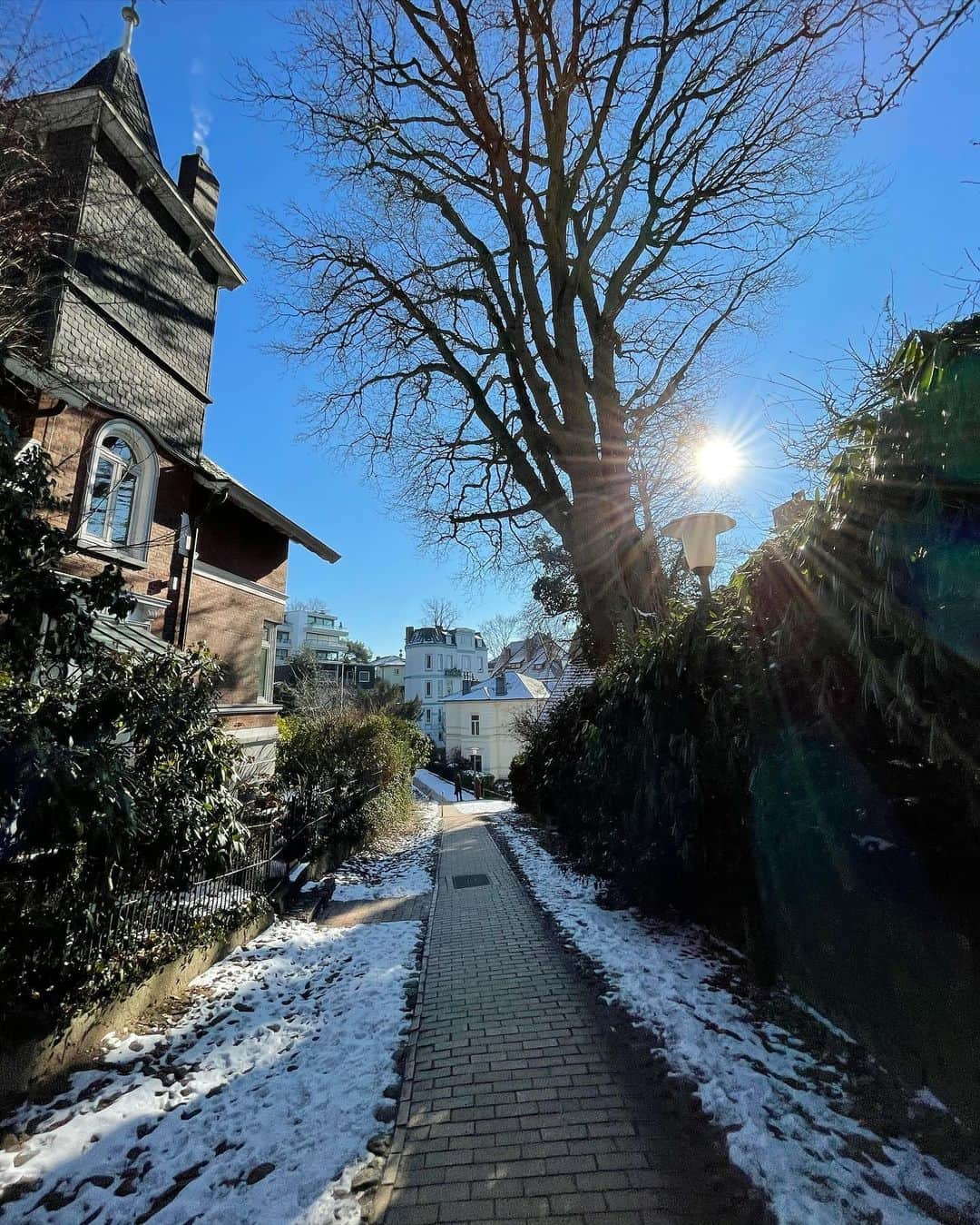 ユスラ・マルディニさんのインスタグラム写真 - (ユスラ・マルディニInstagram)「Some photos from today’s walk🌿」2月14日 3時24分 - yusramardini