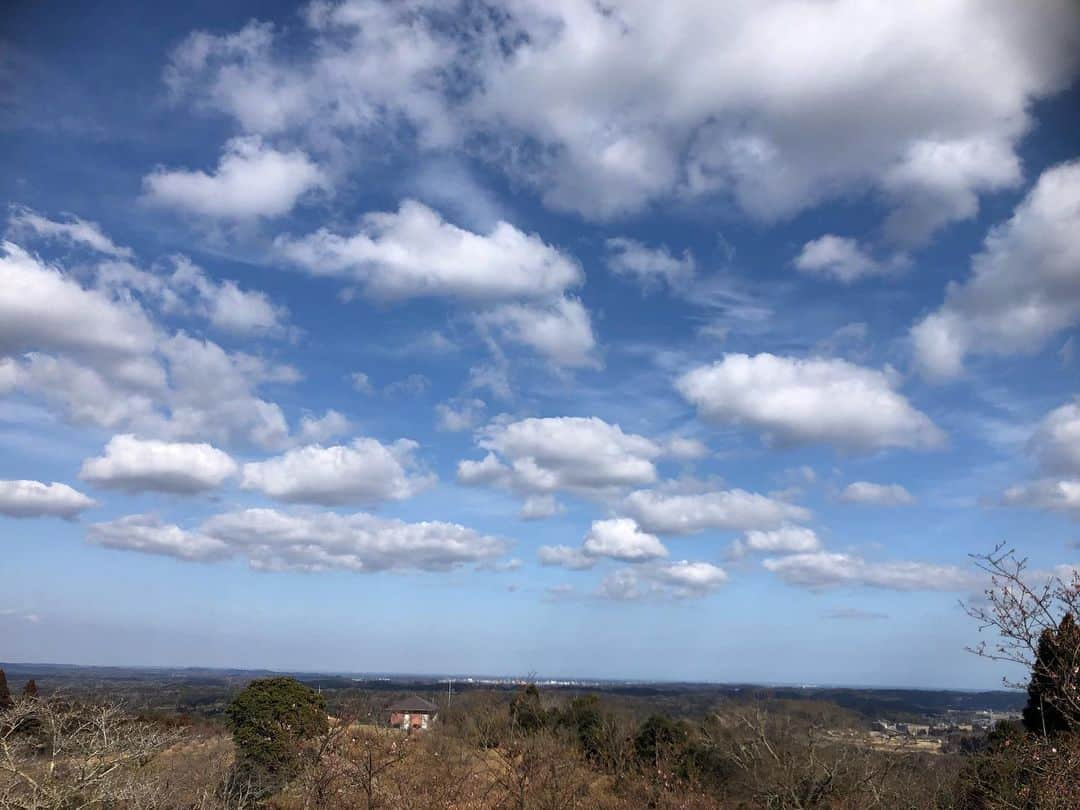 小野真弓さんのインスタグラム写真 - (小野真弓Instagram)「おはようございます。  東北の皆様、大丈夫ですか❓ まだ、しばらく注意が必要との事ですので、 どうかお気をつけてお過ごしくださいね。  昨夜の地震、千葉県南部も2分ほど 縦にも横にも結構揺れたように感じました。 それでも震度3か、4。 犬たちも怖かったのか、いつも以上に 私にぴったりくっついて寝てました。  明るくなって、段々被害の状況が見えてきていますが、 皆様の無事を祈ります。  #千葉県#長南町#野見金公園#昨日の空 #千葉県南部在住」2月14日 5時57分 - hanaharuaroi