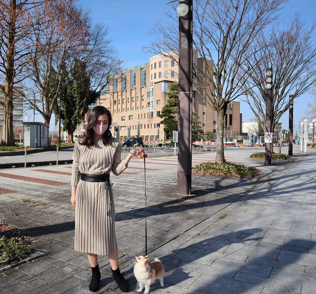 のインスタグラム：「𝚆𝚊𝚕𝚔 𝚝𝚑𝚎 𝚍𝚘𝚐❤︎❤︎ . . . 今日はお天気なので♡ 太り気味のハム君とお散歩しました^ ^ ダイエット頑張ろう🐶笑 お洋服は　@andseoul で購入しました♪ 富山駅北口近くにあるお店です！ 世界が平和になったら韓国遊びに行きたいな^ ^ #お散歩 #富山 #羽夢diary  #夢羽美友 #韓国服　@andseoul  @pecca_jp」