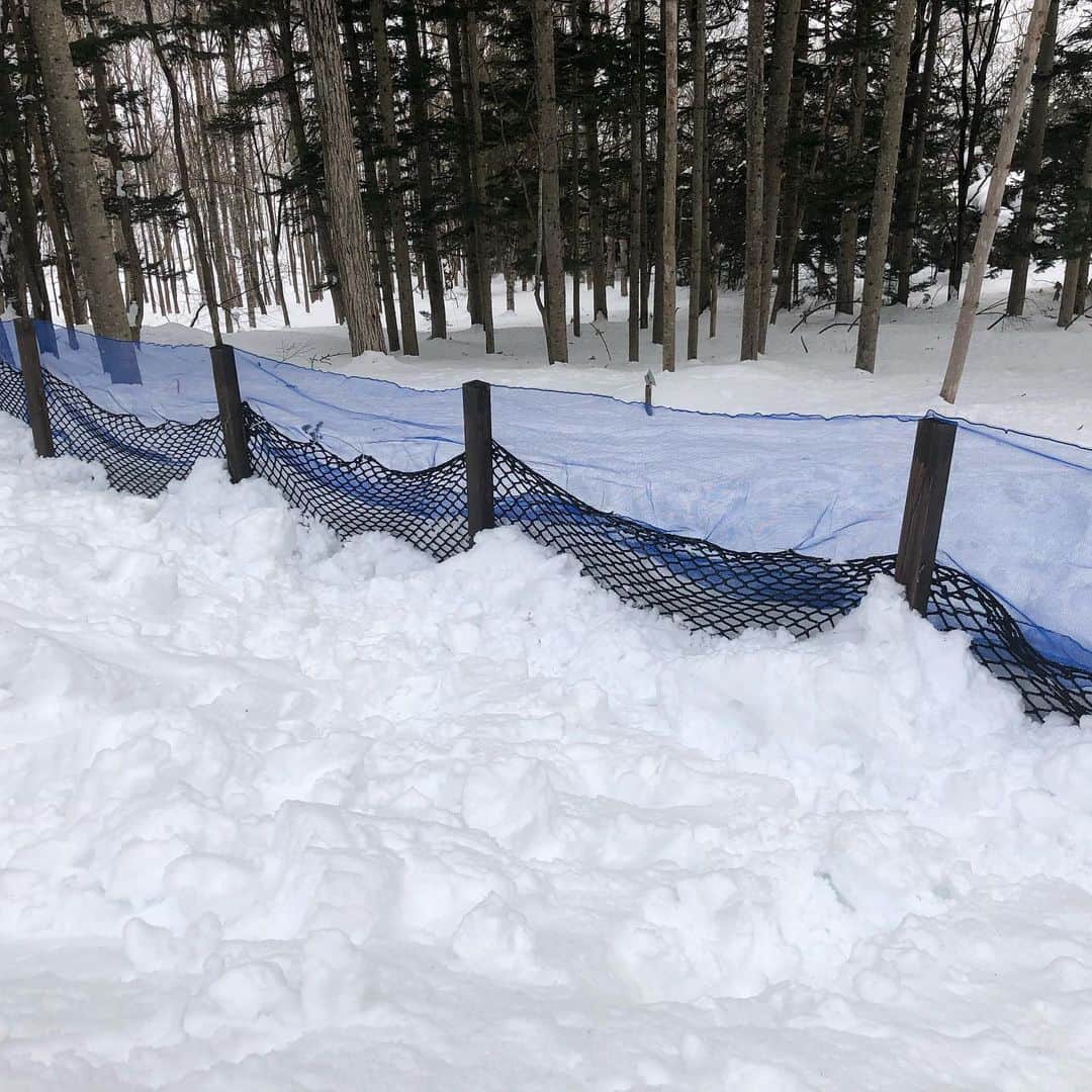 鈴井貴之さんのインスタグラム写真 - (鈴井貴之Instagram)「例年を遥かに超える積雪で既存のネットでは犬が脱走し放題です。 取り敢えずブルーネットを重ねて対応。 春になったらしっかり整備しないと。」2月14日 15時55分 - suzuitakayuki