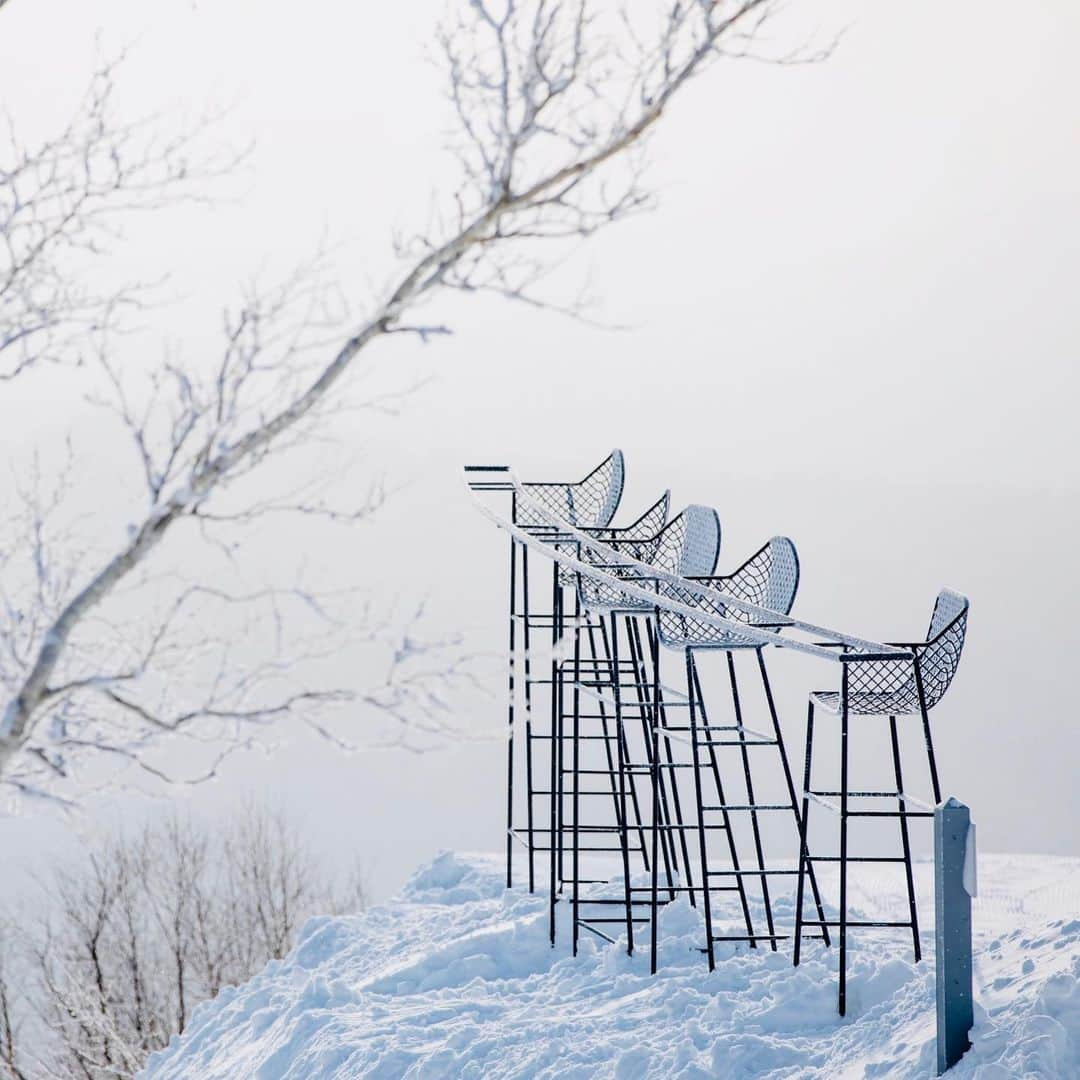 星野リゾート　トマムさんのインスタグラム写真 - (星野リゾート　トマムInstagram)「Hoshino Resorts TOMAMU  Terrace of Frost Tree  2月上旬、霧氷が発生した時の写真📷✨霧氷が朝日に照らされてキラキラ輝く美しい世界が広がりました❄️❄️❄️  #HoshinoResorts #星野リゾート #tomamu #hoshinoresortstomamu #星野リゾートトマム #トマム #risonaretomamu #リゾナーレトマム #risonare #リゾナーレ #北海道旅行 #星野集團 #Hokkaidotrip #霧氷テラス　#terraceoffrosttree」2月14日 16時23分 - hoshinoresorts_tomamu