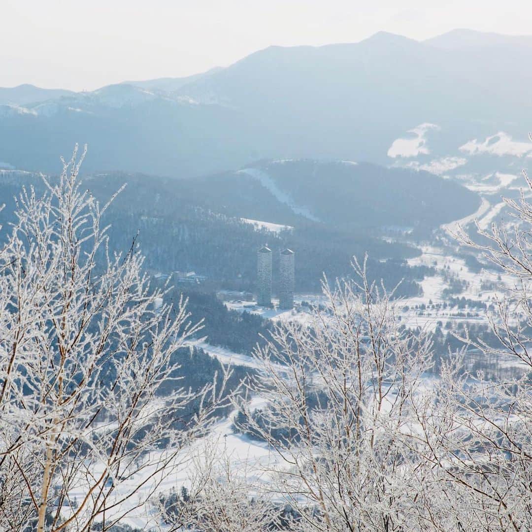 星野リゾート　トマムさんのインスタグラム写真 - (星野リゾート　トマムInstagram)「Hoshino Resorts TOMAMU  Terrace of Frost Tree  2月上旬、霧氷が発生した時の写真📷✨霧氷が朝日に照らされてキラキラ輝く美しい世界が広がりました❄️❄️❄️  #HoshinoResorts #星野リゾート #tomamu #hoshinoresortstomamu #星野リゾートトマム #トマム #risonaretomamu #リゾナーレトマム #risonare #リゾナーレ #北海道旅行 #星野集團 #Hokkaidotrip #霧氷テラス　#terraceoffrosttree」2月14日 16時23分 - hoshinoresorts_tomamu