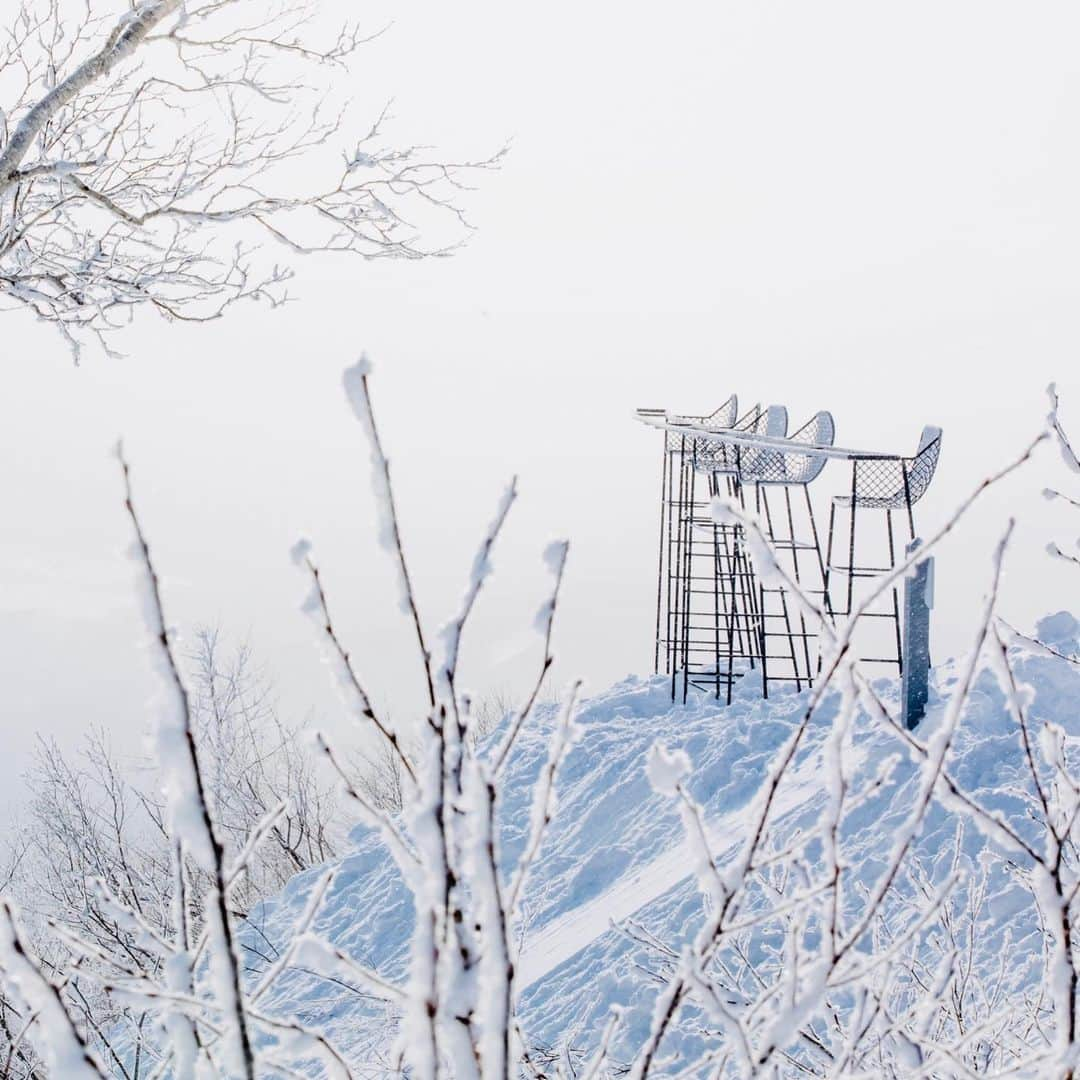 星野リゾート　トマムのインスタグラム：「Hoshino Resorts TOMAMU  Terrace of Frost Tree  2月上旬、霧氷が発生した時の写真📷✨霧氷が朝日に照らされてキラキラ輝く美しい世界が広がりました❄️❄️❄️  #HoshinoResorts #星野リゾート #tomamu #hoshinoresortstomamu #星野リゾートトマム #トマム #risonaretomamu #リゾナーレトマム #risonare #リゾナーレ #北海道旅行 #星野集團 #Hokkaidotrip #霧氷テラス　#terraceoffrosttree」