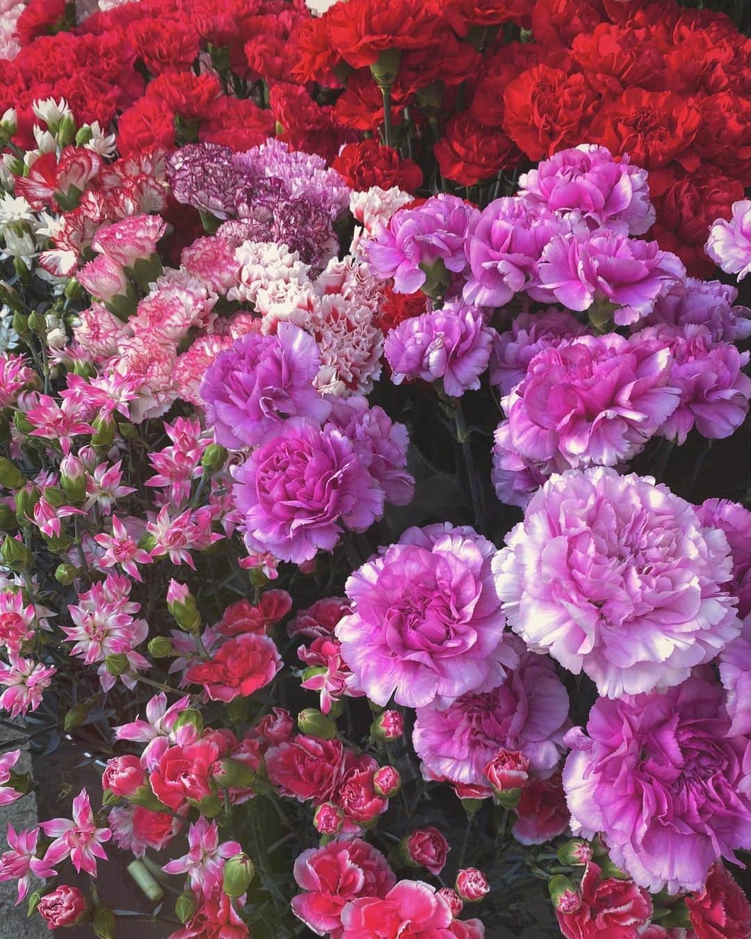 MARINのインスタグラム：「♡#happyvalentinesday」