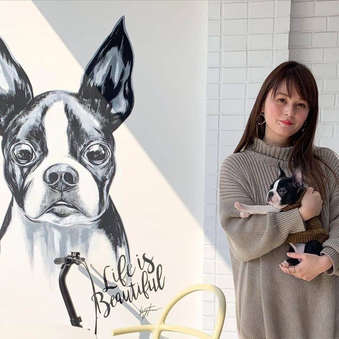 のインスタグラム：「友達の投稿で、ベティの絵が描いてある❣️っとお店を知り、一緒に写真を撮りたいという飼い主のエゴに付き合ってもらいました😂💓 代官山の#teafanny というお店です❣️店内素敵でした😍また別でアップと近日中にYouTubeに載せます！ ・ なんかベティ腕がピーンってなってるし凄い不服そうな顔😳笑２、３枚目にベティの名誉のために可愛いお顔写真載せておきます笑 ・・・ #犬のいる暮らし #ボストンテリア #ボステリ #ベティ #犬好き #🐶 #子犬 #ボストンテリア子犬 #ボストンテリアパピー#生後3ヶ月半 #Bostonterrier #bostonterriergram #犬バカ#小型犬 #instadog #犬スタグラム#いぬすたぐらむ　#代官山 #代官山カフェ #代官山犬連れokランチ」