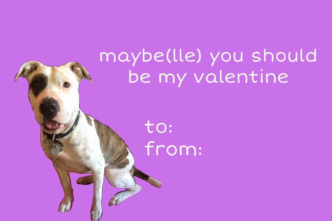 ゾーイ・ドゥイッチのインスタグラム：「them: the perfect valentine’s day card doesn’t exist  maybelle:」