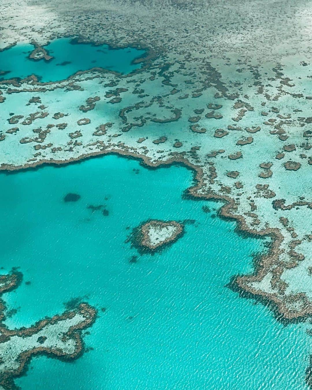 キャセイパシフィック航空さんのインスタグラム写真 - (キャセイパシフィック航空Instagram)「Happy Valentine’s Day! 💚 The Heart Reef is one of the most famous sights of the Great Barrier Reef. And while snorkelling and diving around it are disallowed due to its protected status, it is a gorgeous sight when viewed from a helicopter or seaplane.⠀ ⠀ 情人節快樂！💚 屬於自然保護區的心形礁是大堡礁其中一個最著名的景點，附近水域並不允許浮潛或潛水等活動，大家想欣賞這個世界奇觀，可以乘坐直升機或水上飛機。⠀ ⠀ 📸:@darc_94⠀ ⠀ #cathaypacific #MoveBeyond ⠀」2月14日 10時00分 - cathaypacific