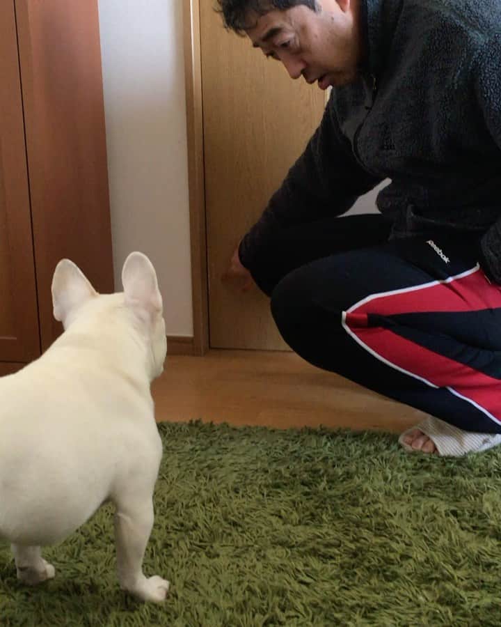ちえぶぅたのインスタグラム：「ちょっと何言ってるかわかんない。」