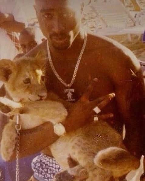 のインスタグラム：「2pac様を知ったきっかけは 中学か高校の時に リビングの スピーカーで適当に音楽流してて california loveながれたとき キッチンにいた、おかーが 2pac聴きよるwwwてきな こと言ってそっから 興味を持ってドハマりました 今思えば デートでEarth,wind &fireの ライブにいく両親実際イケてる。 #2pac」
