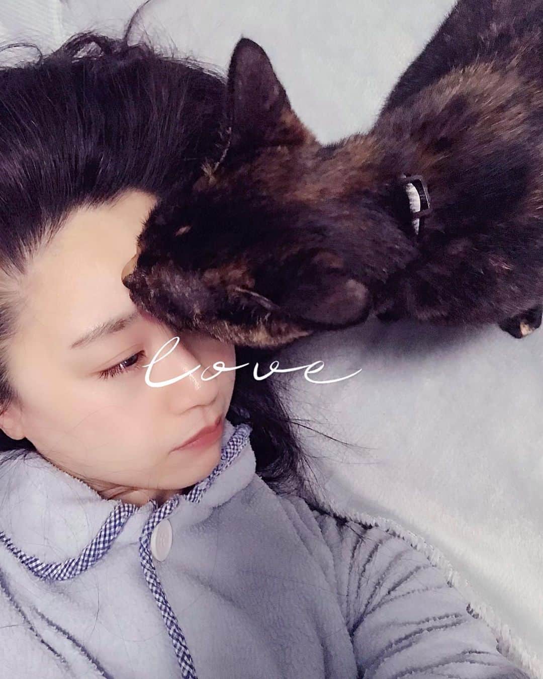 久保亜沙香さんのインスタグラム写真 - (久保亜沙香Instagram)「おはようございます。 二度寝からの寝坊しました𓈒𓏸  顔を舐められると ものすごくいたいꪔ̤̮」2月14日 10時37分 - asaka_kubo