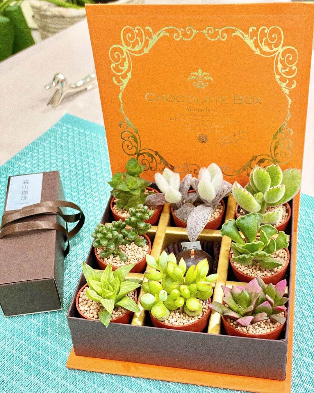 金子実加のインスタグラム：「Joyeuse Saint Valentin 🍫❣️ 皆様チョコレートを楽しんでますか？ Chocolate box🍫 チョコレートのキャンドルでチョコレートを食べなくてもまるでチョコレートを食べてるような気分に❣️ そして、もう一個は 甘くない珈琲豆のチョコレート🍫 日本では女性から贈る文化？ですが、 海外では男性女性にプレゼントを贈る。 付き合っているパートナーに改めて「愛」を伝える日なんです✨ 記念日関係なく、いつも愛を伝え合うのが一番ですよね😍🌹 . . . . . #joyeusesaintvalentin #saintvalentin #valentine #valentineday #バレンタイン　#chocolate #食べないチョコレート　#チョコレートキャンドル　#チョコレートソムリエ　#珈琲チョコレート　#chocolat」