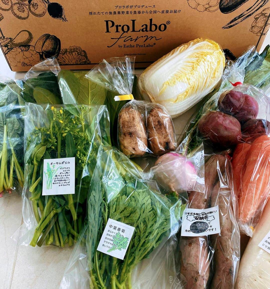 GENKINGの釜飯さんのインスタグラム写真 - (GENKINGの釜飯Instagram)「今回の　@prolabofarm_official 🥬🥕🥦 オータムポエムを塩茹ですると最高です✨ #プロラボファーム」2月14日 12時05分 - genkingkitchen