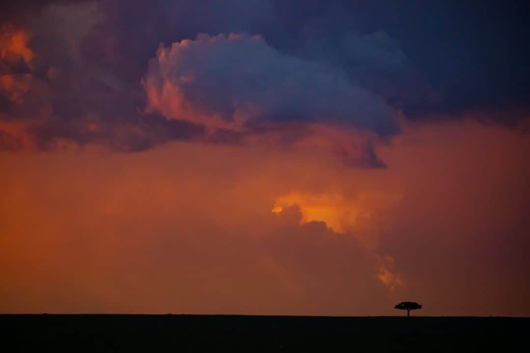 ナショナルジオグラフィックさんのインスタグラム写真 - (ナショナルジオグラフィックInstagram)「Photo by Keith Ladzinski @ladzinski / A fiery sunset looms over a lone tree in the Maasai Mara, Kenya. The rainy season in this great grassland is a time of incredible skies and dramatic weather.」2月14日 12時34分 - natgeo
