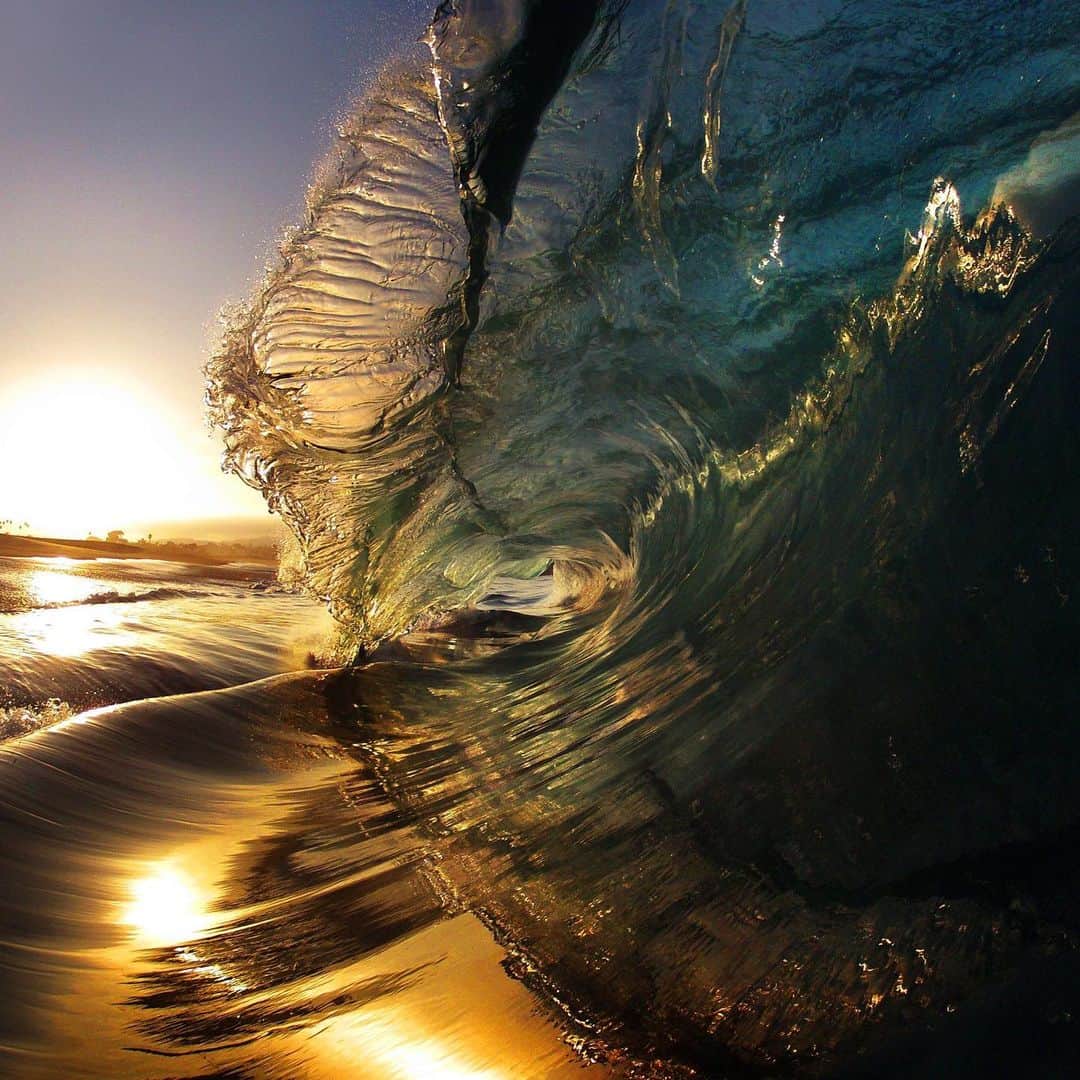 Robbie Crawfordのインスタグラム：「Pretty @smkflwr #Gopro」
