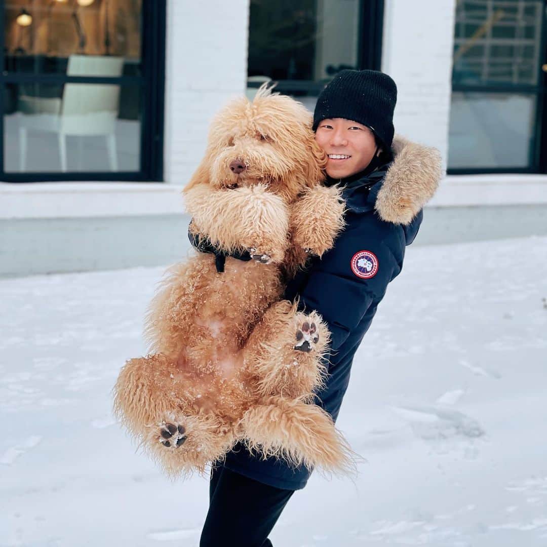 村上大介のインスタグラム：「I promise he's real 🐶」