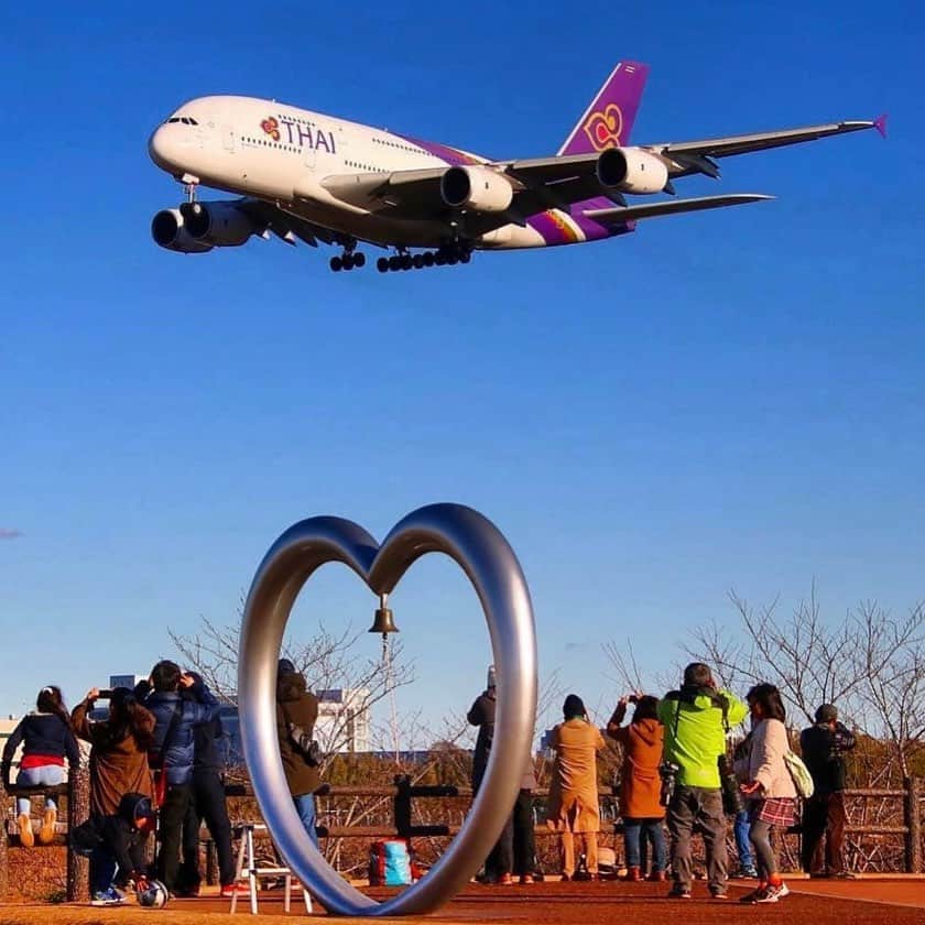 のインスタグラム：「You make me smile despite the miles , Happy Valentines Day 💜✈️  Photo Credit : @akutsutomoyuki  #thaiairways #smoothassilk」