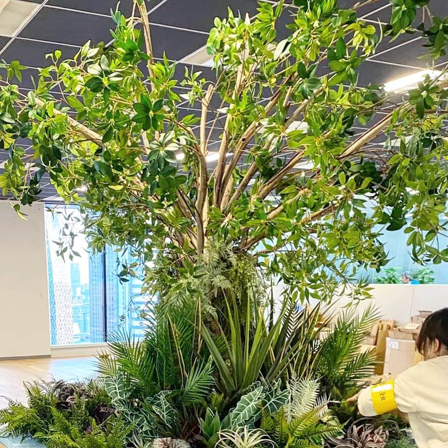 いなざうるす屋のインスタグラム