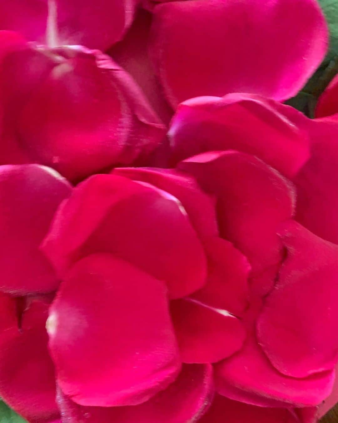 カイリー・ミノーグさんのインスタグラム写真 - (カイリー・ミノーグInstagram)「For ALL THE LOVERS ... near and far #happyvalentinesday」2月14日 15時02分 - kylieminogue