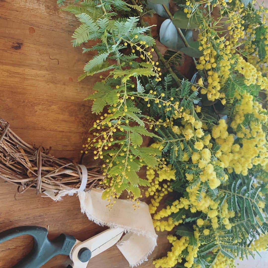 山本真由美さんのインスタグラム写真 - (山本真由美Instagram)「. . 💛🌿 . . ずっと作りたかった、 ミモザのリース作りました😌 没頭する時間は 楽しくて。 .  ユーカリとかお花の香りが漂う。 ドライになっていく日々も楽しみます ◡̈ ＼／＼／＼🌙🦌🦌 . I made a mimosa wreath for the first time.  I enjoyed the time to immerse myself.  It has a nice scent of eucalyptus and flowers.  I also enjoy the process of becoming dried flowers.🟡🟡💛🚪 . #mimosa #wreath  #flower #handmade  #calm #life #day #nature  #likesforlike #tokyo #japan  #buenof #dryflower #spring  #try #firsttime #おもいたったが吉日」2月14日 15時18分 - mayumi_yamamoto.official
