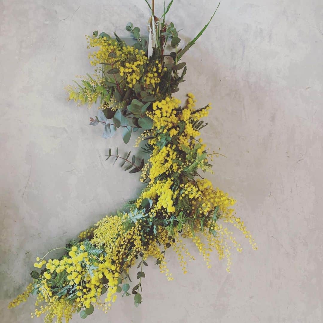 山本真由美のインスタグラム：「. . 💛🌿 . . ずっと作りたかった、 ミモザのリース作りました😌 没頭する時間は 楽しくて。 .  ユーカリとかお花の香りが漂う。 ドライになっていく日々も楽しみます ◡̈ ＼／＼／＼🌙🦌🦌 . I made a mimosa wreath for the first time.  I enjoyed the time to immerse myself.  It has a nice scent of eucalyptus and flowers.  I also enjoy the process of becoming dried flowers.🟡🟡💛🚪 . #mimosa #wreath  #flower #handmade  #calm #life #day #nature  #likesforlike #tokyo #japan  #buenof #dryflower #spring  #try #firsttime #おもいたったが吉日」