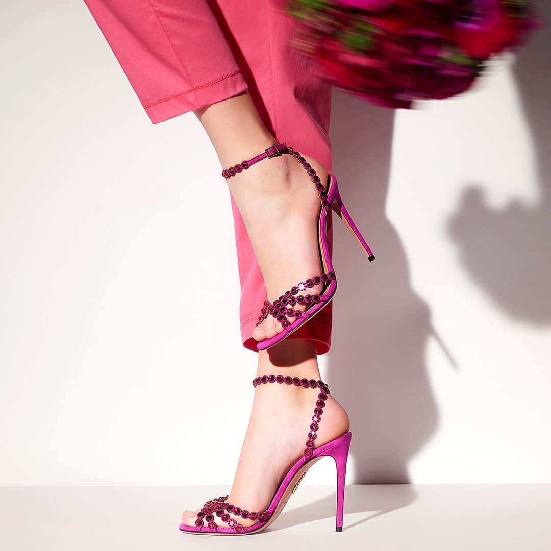 Aquazzuraさんのインスタグラム写真 - (AquazzuraInstagram)「Happy Valentine's Day! Take a closer look at our Tequila Sandals 105, crafted from velvety-soft suede in vivid exotic orchid, embellished with sparkling gems on aquazzura.com and in boutique. #AQUAZZURA #AQUAZZURASandals #ValentinesDay」2月15日 1時01分 - aquazzura