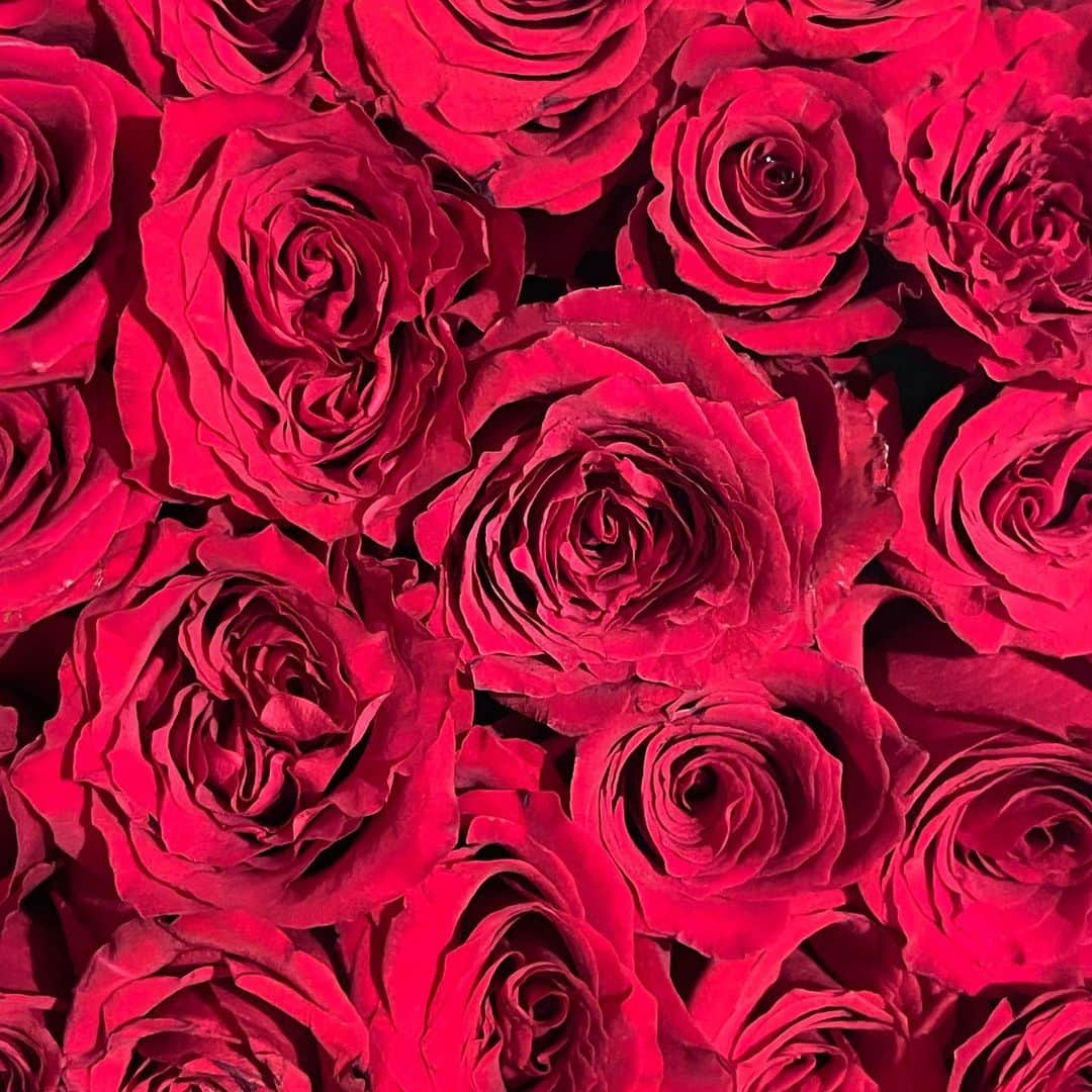 リンジー・ローハンさんのインスタグラム写真 - (リンジー・ローハンInstagram)「Happy Saint Valentine’s Day ❤️❤️❤️」2月15日 1時26分 - lindsaylohan