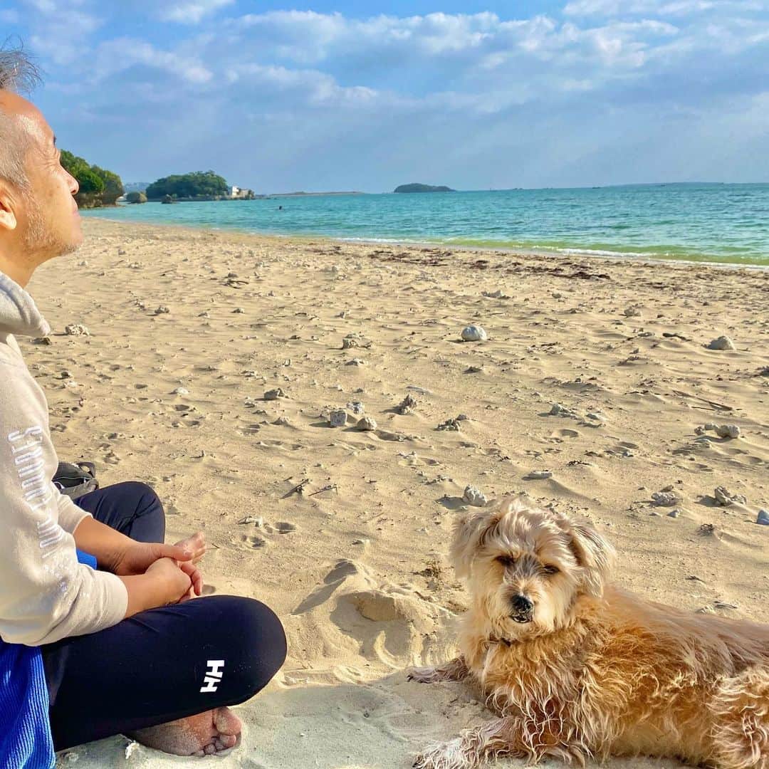 宮本亜門さんのインスタグラム写真 - (宮本亜門Instagram)「めいそうちゅうだって😌　#大好きな浜　#保護犬　#ビート」2月14日 17時18分 - beatamon