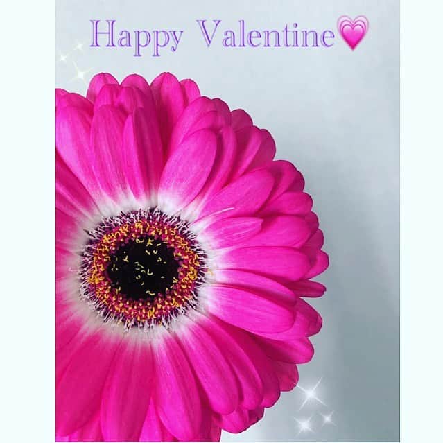 七瀬遥のインスタグラム：「Happy Valentine 😘💗  昨夜の地震、皆様大丈夫でしたか❓ 安全を祈ります🥺🤲  #バレンタイン#Valentine#flower#beautiful#幸せ#happy #fun#good#friend#happy#love#happiness#good#smile#tokyo#japan」