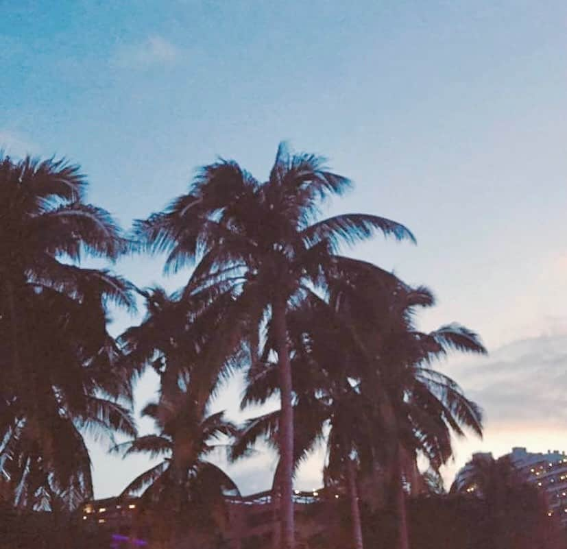 KIYOMI GRACEさんのインスタグラム写真 - (KIYOMI GRACEInstagram)「pretending i’m on vacation when i’m in lockdown」2月14日 17時39分 - kiyominie