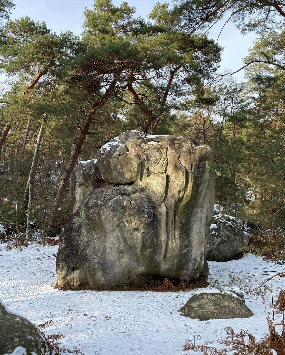 キャロライン・シノさんのインスタグラム写真 - (キャロライン・シノInstagram)「Pas beaucoup de grimpe cette semaine mais des paysages merveilleux à #fontainebleau ❄️☺️ 1/ la Merveille 2/ plaine de Chanfroy 3/ Coquibus 4/ Mare à Piat 5/ Blocs de calcaire 📸 @claravaschetto 😀 6/ Surprise」2月14日 17時51分 - carosinno