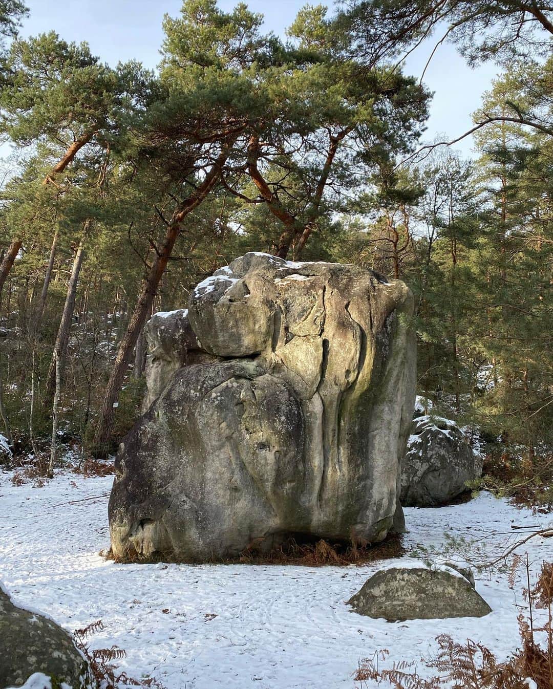 キャロライン・シノのインスタグラム：「Pas beaucoup de grimpe cette semaine mais des paysages merveilleux à #fontainebleau ❄️☺️ 1/ la Merveille 2/ plaine de Chanfroy 3/ Coquibus 4/ Mare à Piat 5/ Blocs de calcaire 📸 @claravaschetto 😀 6/ Surprise」