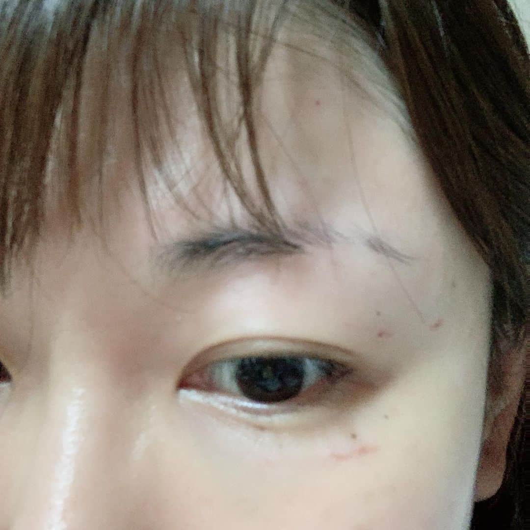 桜 稲垣早希のインスタグラム：「『引っ掻いたな！2度も引っ掻いた！猫にも引っ掻かれたことないのに！！」 #息子が朝起きた瞬間に私の目ん玉に指突っ込んでくるブーム到来 #毎日突っ込まれる #今日は阻止しようとしたら引っ掻かれた #一歳男の子 #手加減無し #寝てると私の首の上に乗るので窒息しかかる日々」