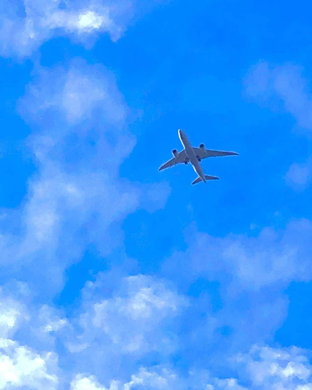 金月真美さんのインスタグラム写真 - (金月真美Instagram)「空に飛行機　今となっては、貴重な一瞬  #そら  #飛行機  #今日の空」2月14日 18時07分 - mami_kingetsu
