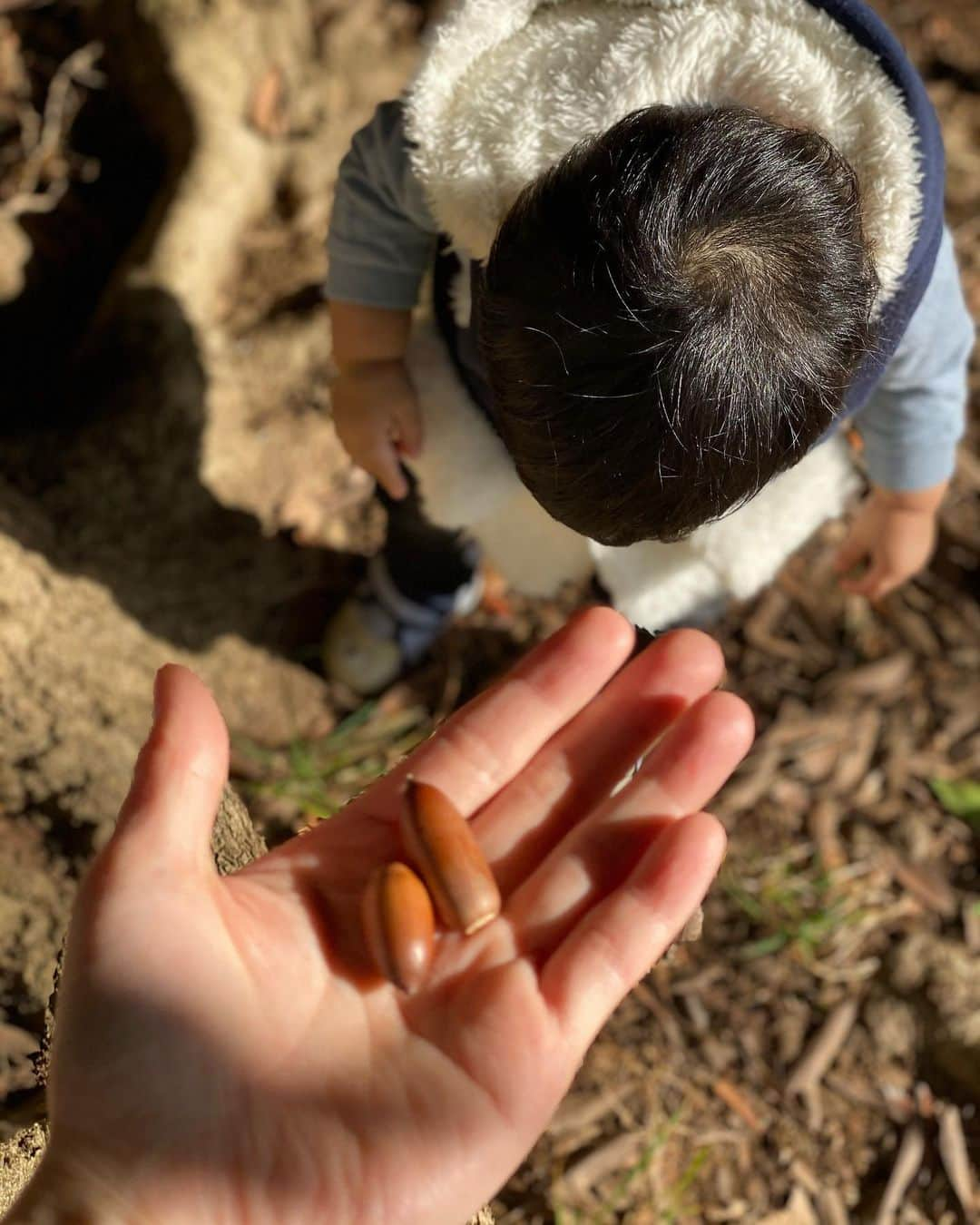 伊藤春香さんのインスタグラム写真 - (伊藤春香Instagram)「どんぐり拾い。﻿ ﻿ 「となりのトトロ」﻿ いつか一緒に見たいな〜☺️ ﻿ #どんぐり拾い #公園遊び #1歳男の子﻿ #ハンドメイド #ミンネ #minne #子供服 #赤ちゃん服 #キッズコーデ #1歳男の子ママ #日曜日 #公園日和 #どんぐり #1歳」2月14日 19時15分 - ha_chu