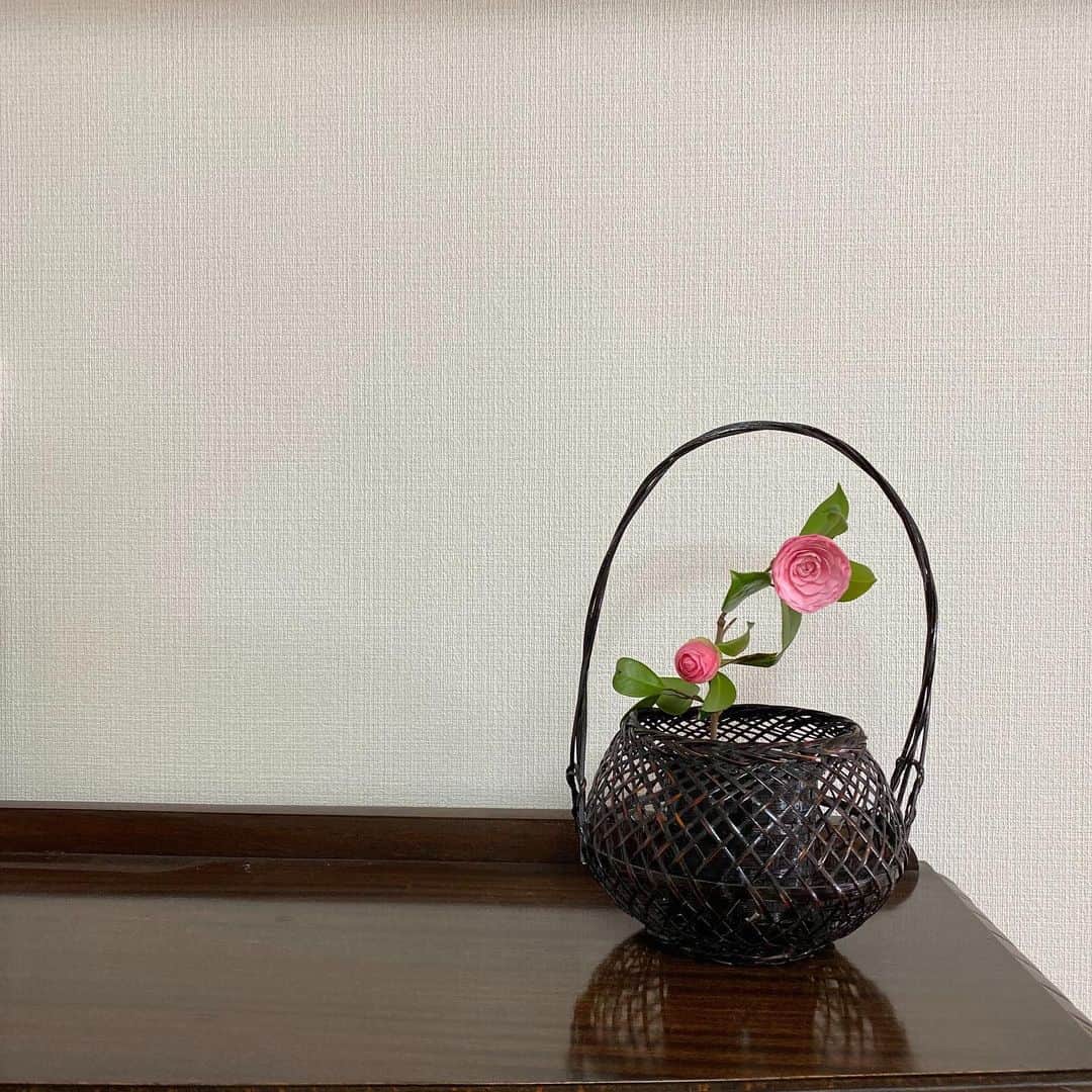 羽田沙織さんのインスタグラム写真 - (羽田沙織Instagram)「バレンタインの今日、 我が家にやってきた @gena_kuwan  の花器には蘭を。 ・ 花籠は、少し前にいけた椿。 ・ 花時間、 至福時間。 ・ #花のある暮らし #花時間 #genakuwan #flowers #flowervase #valentine #happyvalentinesday #アート #アート好きな人と繋がりたい #アートのある暮らし #art #artlover」2月14日 19時20分 - saorihada