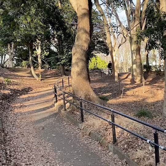 上原誠のインスタグラム：「公園にいる子供達の手本になったのである🚴‍♂️  #ストライダー」