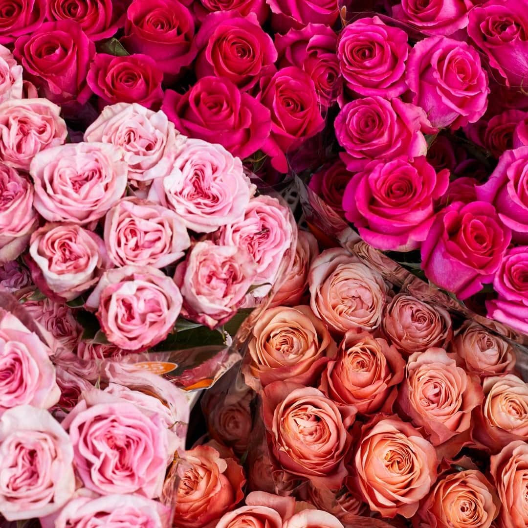 リバティオブロンドンさんのインスタグラム写真 - (リバティオブロンドンInstagram)「From London With Love: Share the love this Valentine's Day by leaving a message below to your loved ones, near or far. From the team at Liberty 💜   Floral throwback via @WildatHeartHQ」2月14日 19時30分 - libertylondon