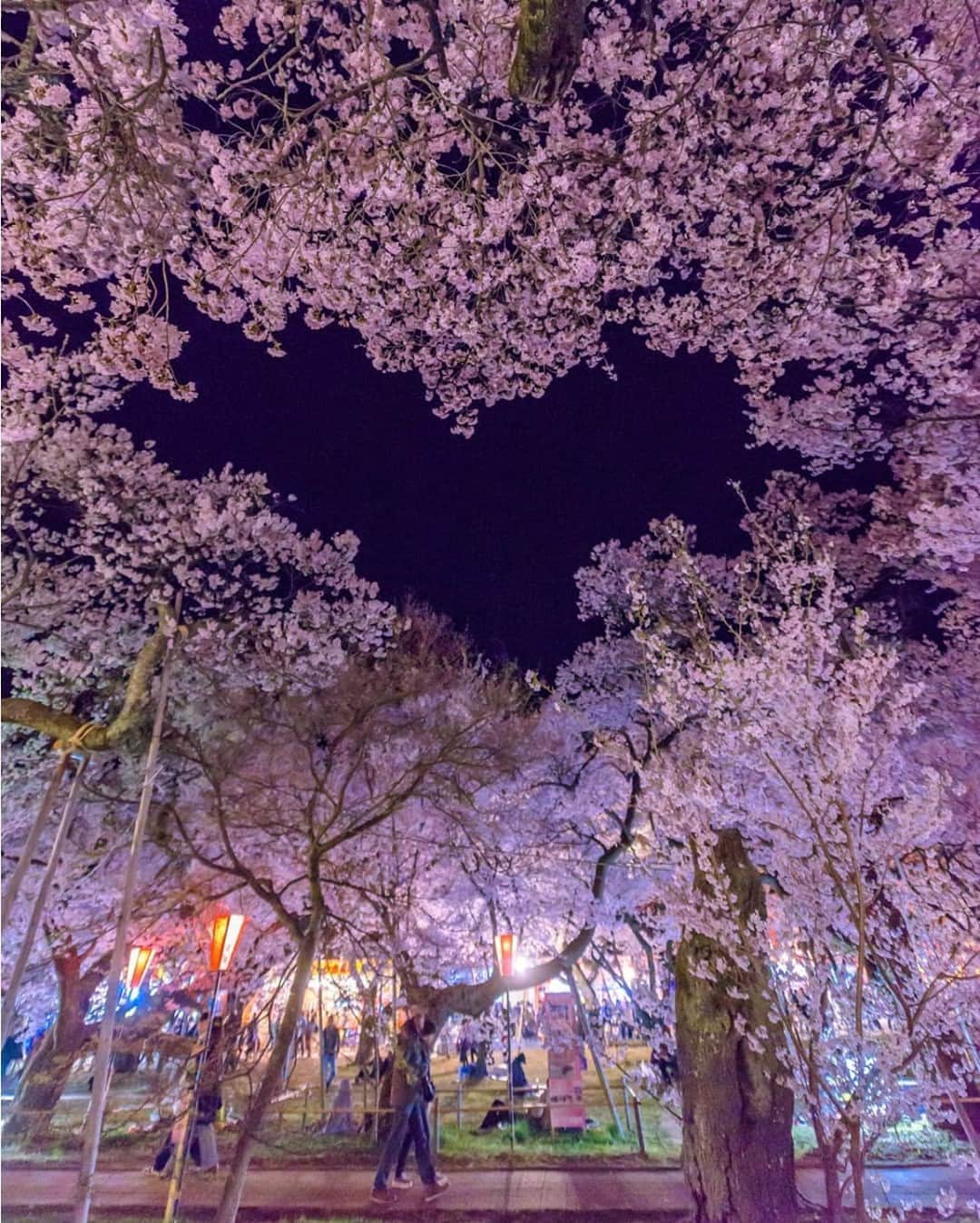 花の写真館のインスタグラム：「Photo by @tsumizo.⠀ https://instagram.com/tsumizo/⠀ .⠀ Original Post[投稿いただいたURL]⠀ https://www.instagram.com/p/B9Y708CFS_k/⠀ .⠀ 本アカウントは、 #私の花の写真 をつけてInstagramに投稿された皆さまの花の写真や、「花の写真館」Facebookページで投稿された花の写真を紹介します。⠀ 「花の写真館」Facebookページは、「 @floral.photograph 」のプロフィールにあるURLからご覧ください。⠀ .⠀ ※各自、政府、自治体など公的機関の指示に従った行動をお願いします。⠀⠀ 東京カメラ部および分室では、写真を「見る楽しみ」を提供することを通して、微力ながら皆様にわずかな時間でも癒しをお届けしたいと思っております。⠀ ※本アカウントは東京カメラ部がFacebook、Instagramのサービスを利用して運営しているもので、Facebook社・Instagramとは一切関係ありません。⠀ .⠀ #花の写真館 #floralphotograph #floralphoto #flower #flowers⠀ Follow: @floral.photograph」