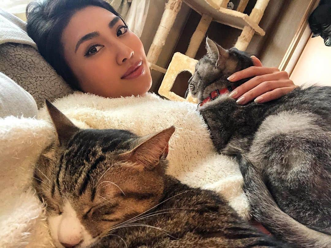 青山めぐさんのインスタグラム写真 - (青山めぐInstagram)「猫番組のリモート出演🐈いつも本当にありがとう🙏🏾💫 #猫 #ねこ #ねこのいる生活  #リモート #リモートワーク #多頭飼い #りき #くう #cat  #cats #catstagram」2月14日 19時30分 - megu_19880928