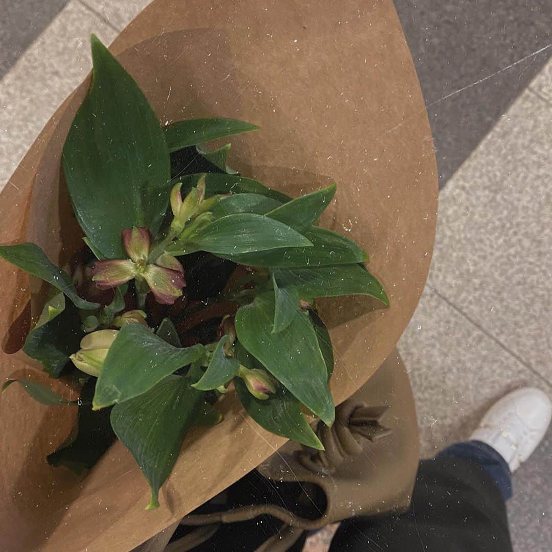 樽見麻緒のインスタグラム：「𝒱𝒶𝓁ℯ𝓃𝓉𝒾𝓃ℯ𝒹𝒶𝓎𓂃𓇬 いつも乗り換えの駅にあるお花屋さんで 白いチューリップが可愛くてまた買ってしまった🌷 (ちょうど見えてない笑) もうひとつは何ていうのか分からんけど… お花飾って気づいたことは、部屋の雰囲気が断然明るくなる🤍🚪✨ ׅ #バレンタインデー#良い1日を#花のある暮らし#お花#チューリップ#男の子ママ#ママライフ#子育てママ」