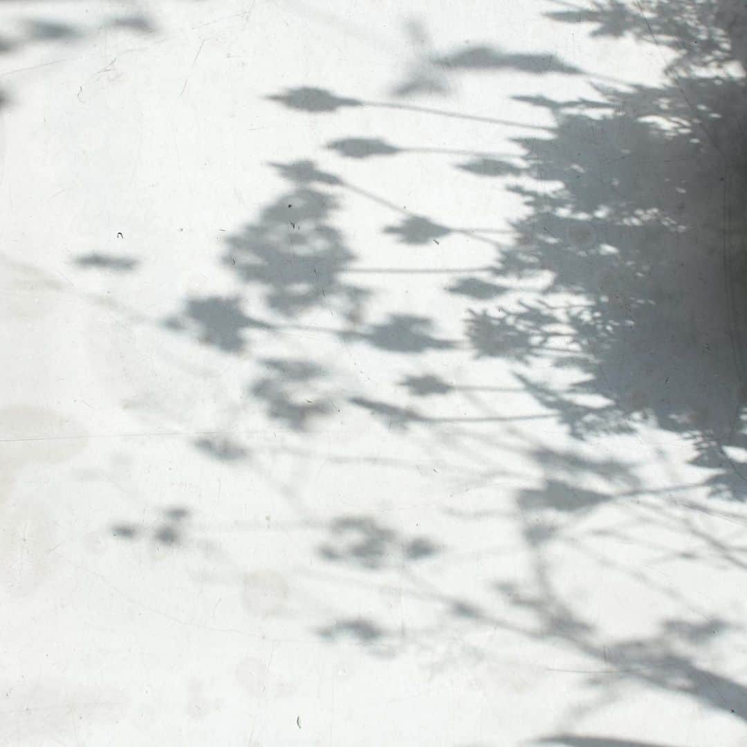 플로리스트 김애진(케이라플레르)さんのインスタグラム写真 - (플로리스트 김애진(케이라플레르)Instagram)2月14日 19時51分 - keirafleur