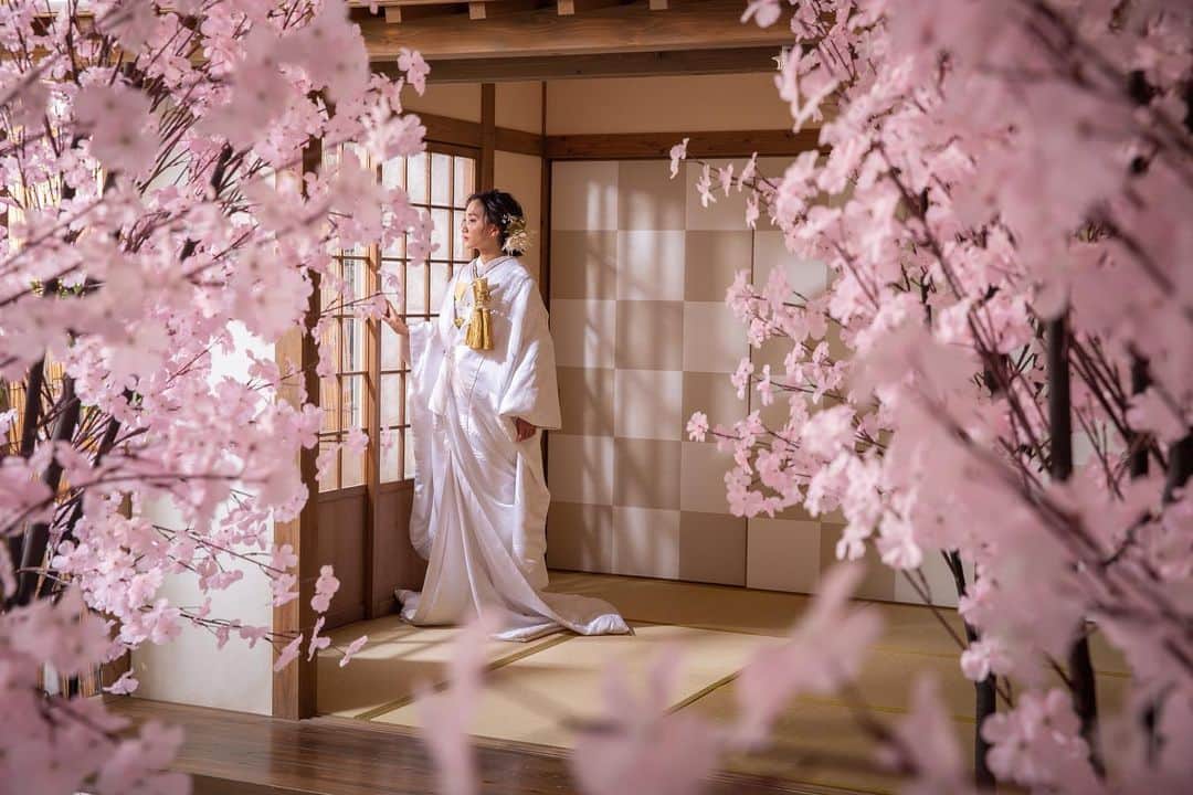 スタジオエイト 名古屋さんのインスタグラム写真 - (スタジオエイト 名古屋Instagram)「【春爛漫🌸満開の屋内庭園】 スタジオエイトの屋内庭園なら、一足早く満開の桜で撮影できちゃいます✨ お天気やコロナを気にせず撮影できるので、とっても安心☺️❣️ . 少し準備がいりますので、ご希望の場合は事前にお伝えいただけますとスムーズです。 ぜひご検討ください♫  💄hairmake @miki.deco.hm   📸photographer @s.mochizuki.deco.ph   以下のアカウントでも情報更新中♫ ご指名承っております🌟  📸photographer account @s.mochizuki.deco.ph @n.aoki.deco.ph  @m.niwa.deco.ph  @t.oguri.deco.ph @s.irie.deco.ph  @omura.deco.ph  @r.furusato.deco.ph  @a.fujiwara.deco.ph   💄hair＆makeup account @sayaka.ito.deco.hm  @erina.fujimaki.deco.hm  @s.reika.deco.hm  @haru.deco.hm  @miki.deco.hm @mitani.deco.hm   #d_weddingphoto #プレ花嫁 #名古屋プレ花嫁  #ウエディングレポ #前撮りレポ #DWPG #撮る結婚式　 #ウェディングフォト  #フォトウエディング #結婚式準備 #前撮り #ブライダルフォト #ウエディングニュース #weddingphoto  #日本中のプレ花嫁さんと繋がりたい  #プレ花嫁さんと繋がりたい  #おしゃれさんと繋がりたい  #2021春婚 #2021夏婚 #2021秋婚  #marry花嫁 #marryxoxo #チェリフォト #コロナに負けるな  #カップルさんと繋がりたい #結婚準備 #花嫁美容 #東海プレ花嫁  #白無垢#色打掛」2月14日 20時00分 - studio8_nagoya.sakae
